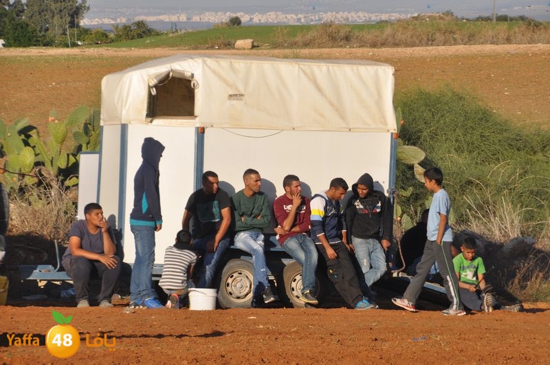 Khowoyouls ramala (55).JPG